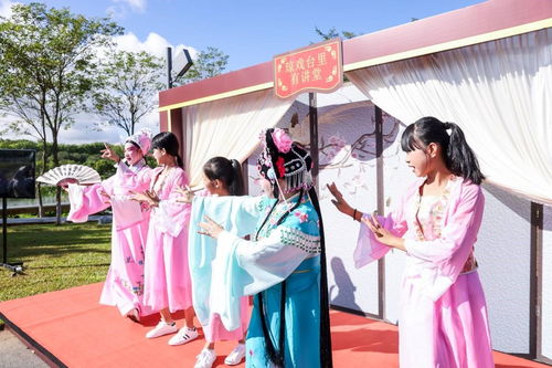 海南舉辦新時代文明實踐志愿服務項目展示活動，數字創意賦能志愿服務新風尚